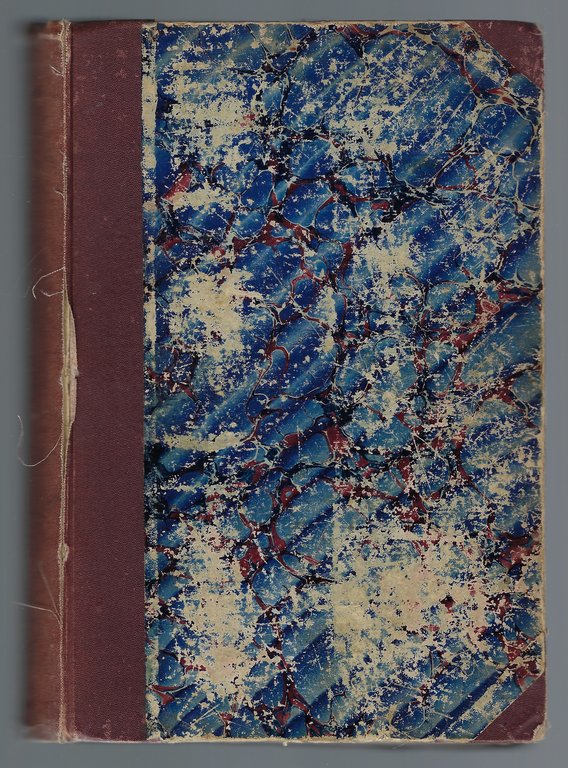 Curiosità triestine. Trieste antica e moderna ossia descrizione ed origine …