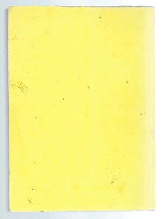 Trieste che passa 1884 - 1914