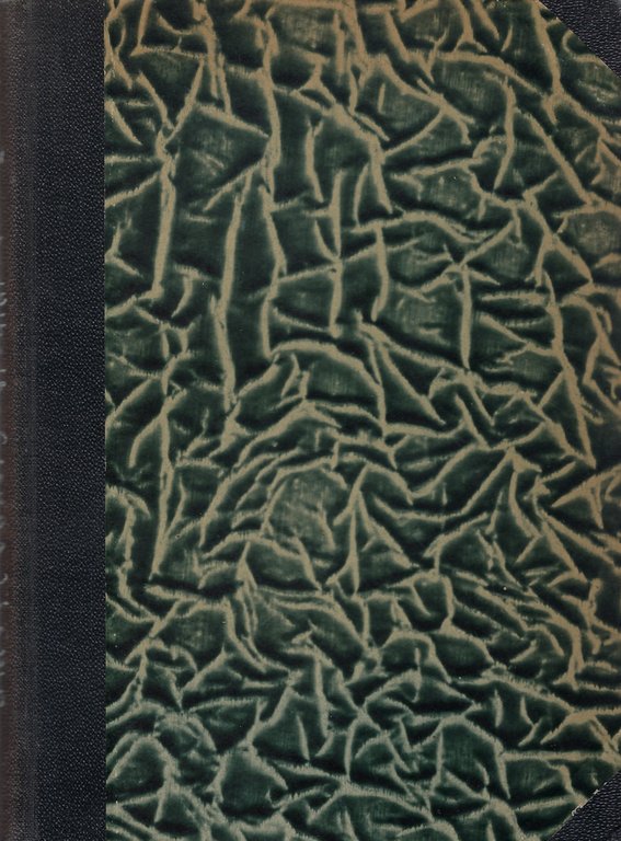 Trieste durante la Guerra Mondiale: opinione pubblica e giornalismo a …