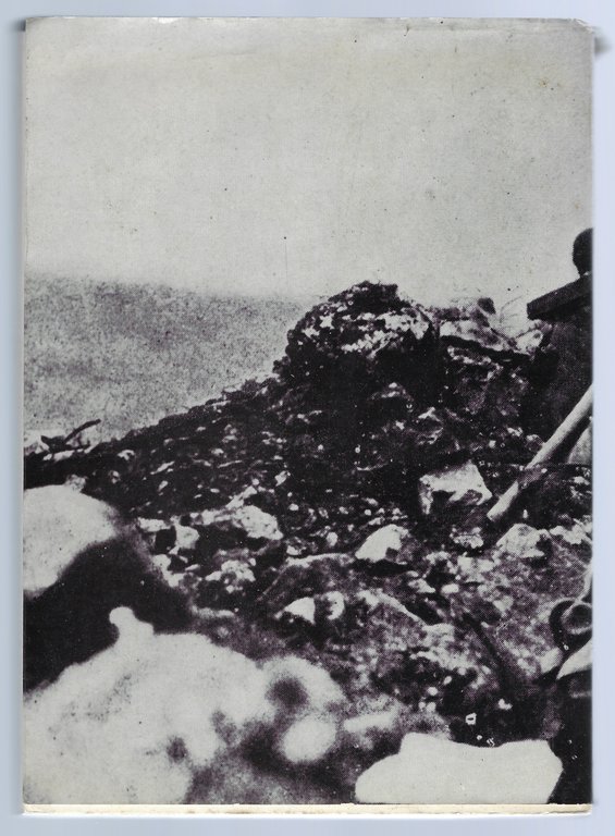 Trieste e l'Italia nelle lettere dei volontari Giuliani