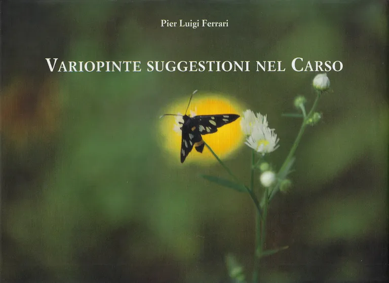 Variopinte suggestioni nel Carso | Immagine Gallery 1