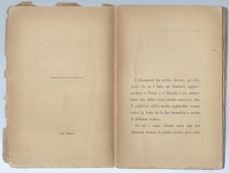 Zola e l'assommoir. Conferenza tenuta al Circolo filologico di Napoli …