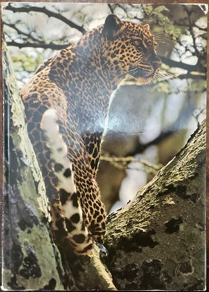 Fauna dellAfrica Orientale