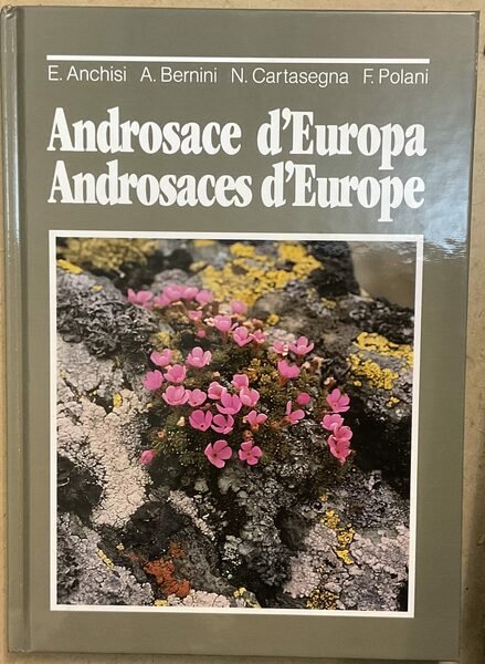 Androsace d’Europa. Androsaces d’Europe