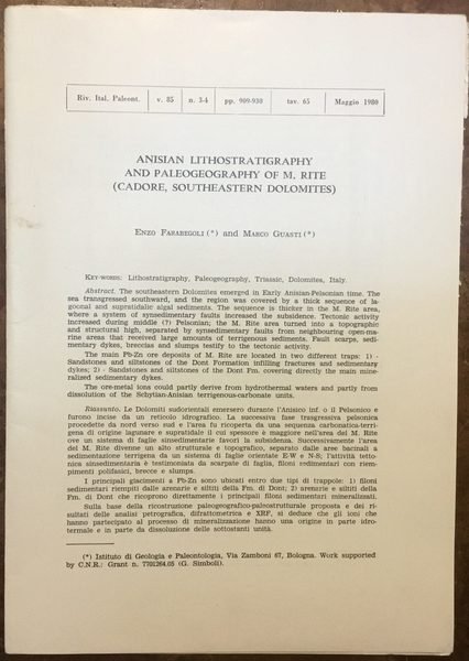 Anisian lithostratigraphy and paleogeography of M. Rite (Cadore, Southeastern Dolomites)