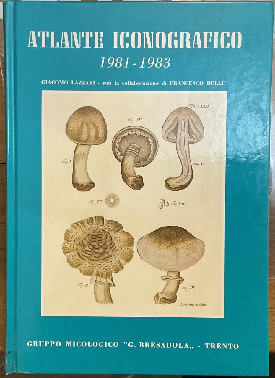 Atlante iconografico 1981-1983