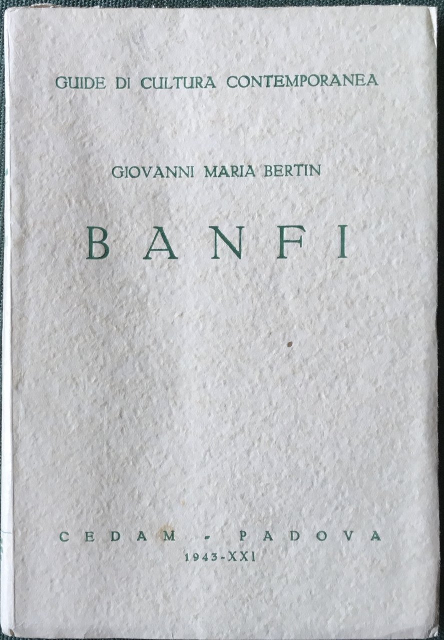 Banfi. Guide di cultura contemporanea