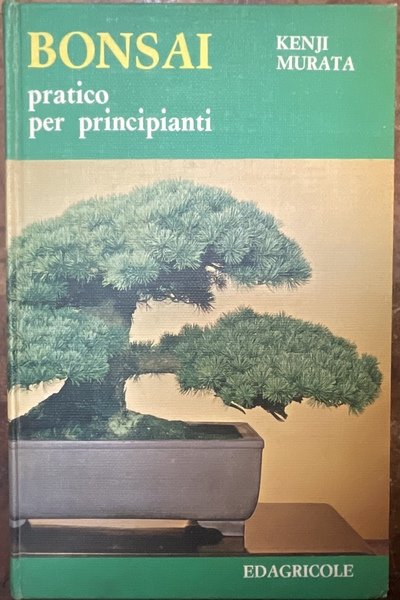 Bonsai pratico per principianti