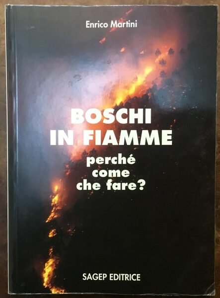 Boschi in fiamme. Perché, come, che fare?