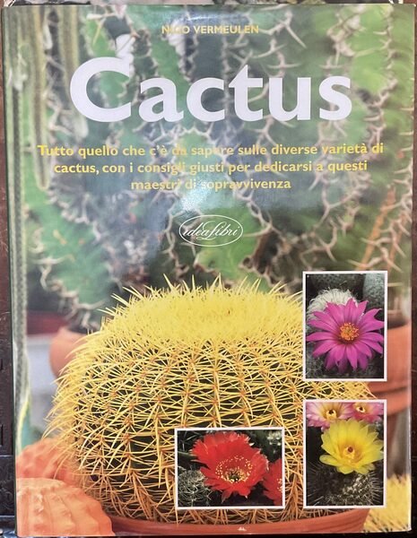 Cactus