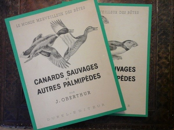 CANARDS SAUVAGES ET AUTRES PALMIPEDES. 2 TOMES - 2 volumi