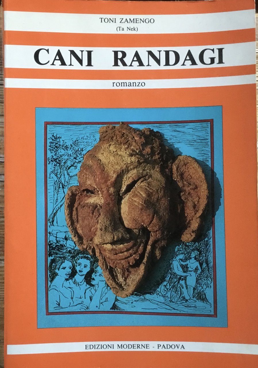 Cani randagi