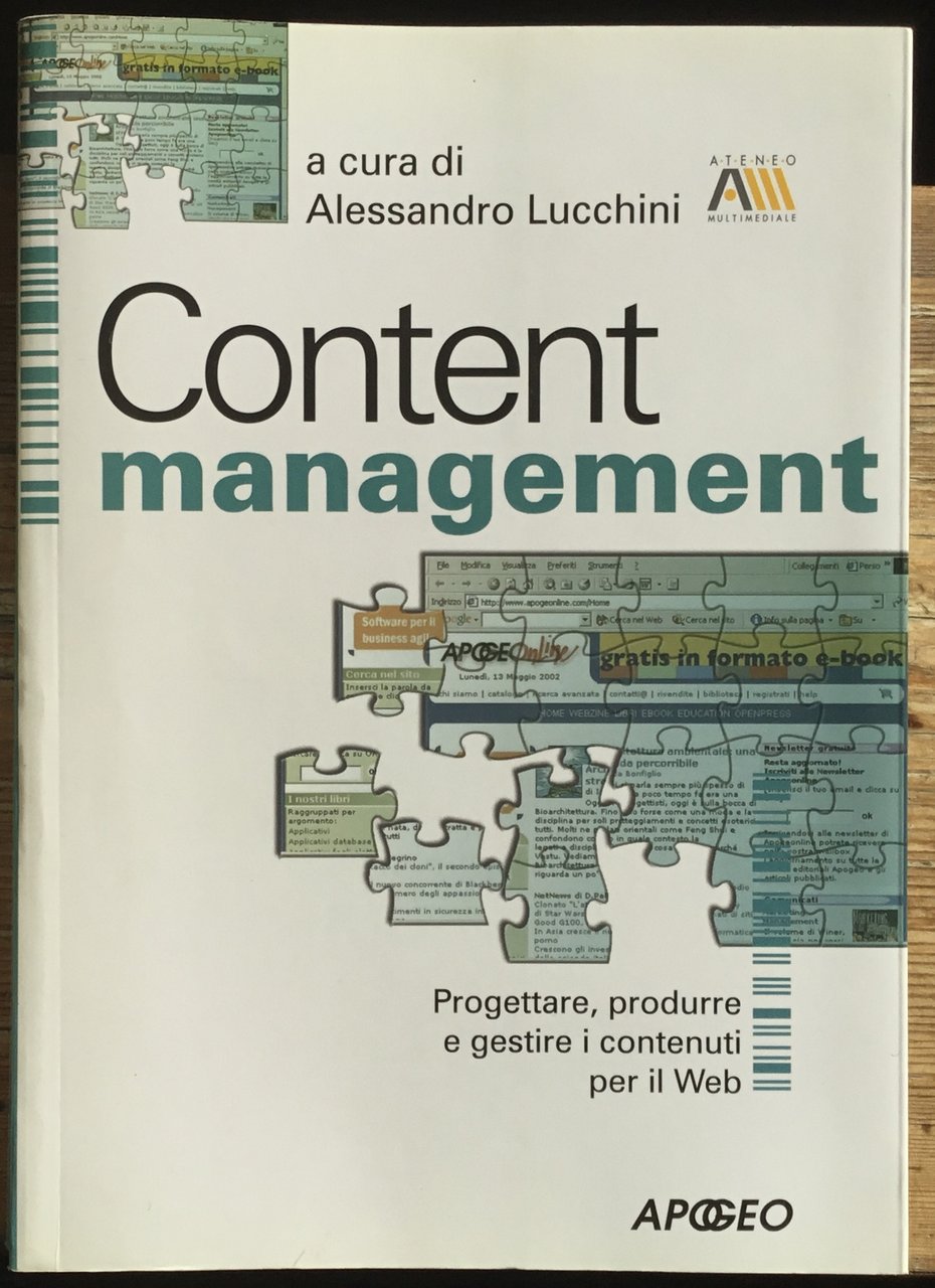 Content management. Progettare, produrre e gestire i contenuti per il … | Immagine principale