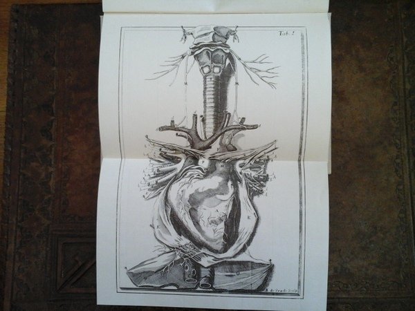 De Motu cordis er aneurysmatibusopus postumum in duas partes divisum. …