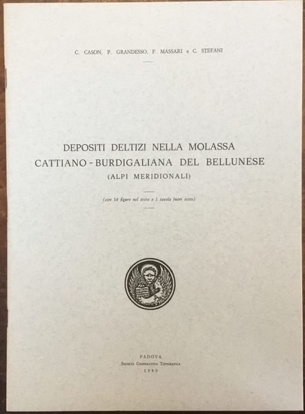Depositi deltizi nella molassa Cattiano - Burdigaliana del Bellunese (Alpi …