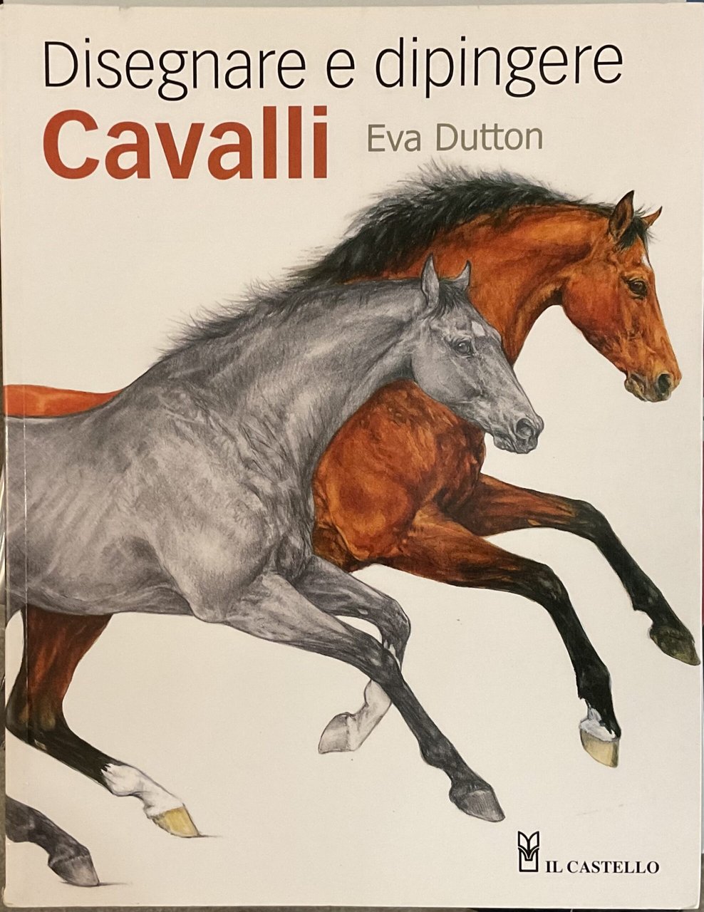 Disegnare e dipingere cavalli | Immagine principale