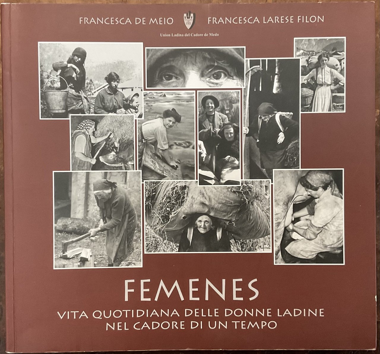Femenes. Vita quotidiana delle donne ladine nel Cadore di un …