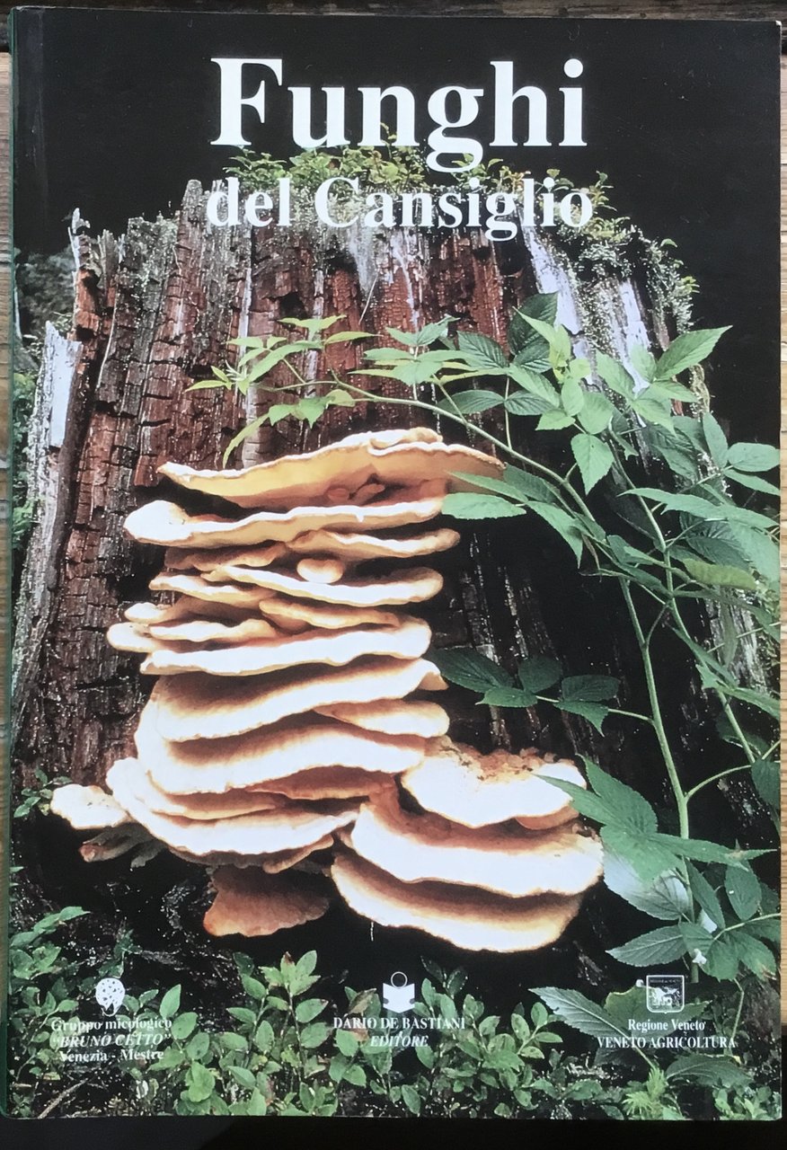 Funghi del Cansiglio