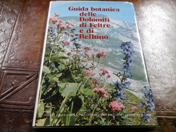 Guida botanica delle Dolomiti di Feltre e di Belluno