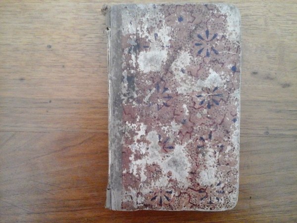 Guida di meccanica pratica preceduta dalle nozioni elementari d'aritmetica decimale …