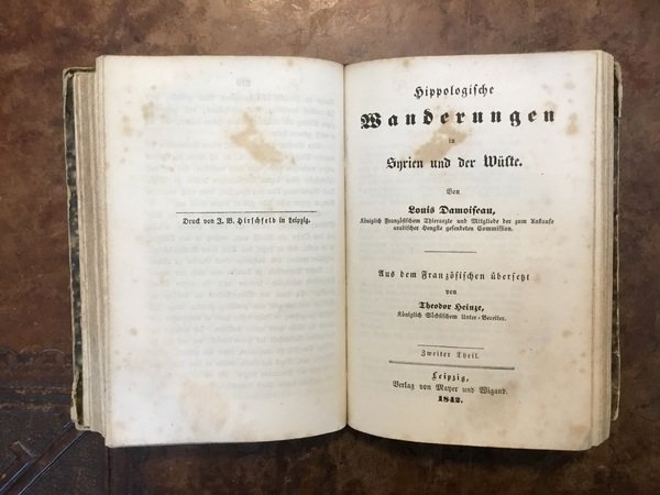 Hippologische Wanderungen in Syrien und der Wüste. Aus dem Französischen …