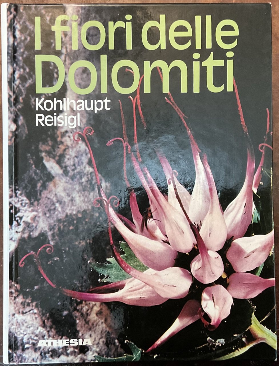 I fiori delle Dolomiti