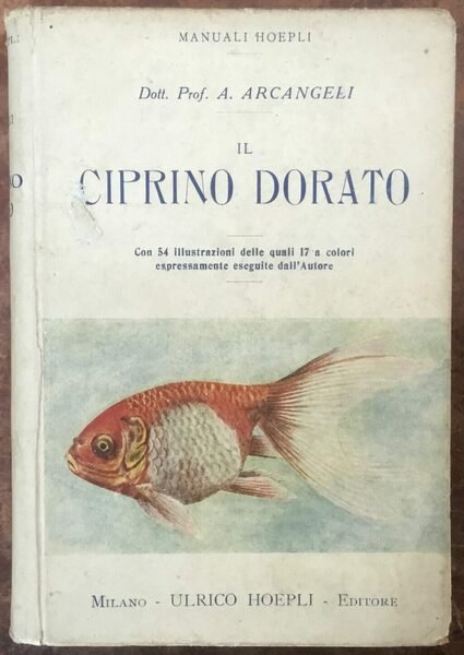 Il Ciprino dorato