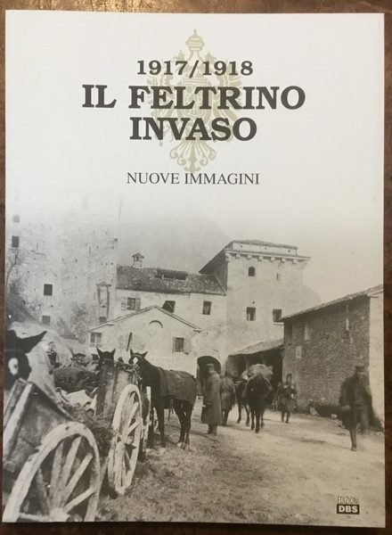 Il Feltrino invaso