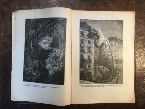 Il mondo prima della creazione dell’uomo