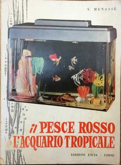 Il pesce rosso e l’acquario tropicale