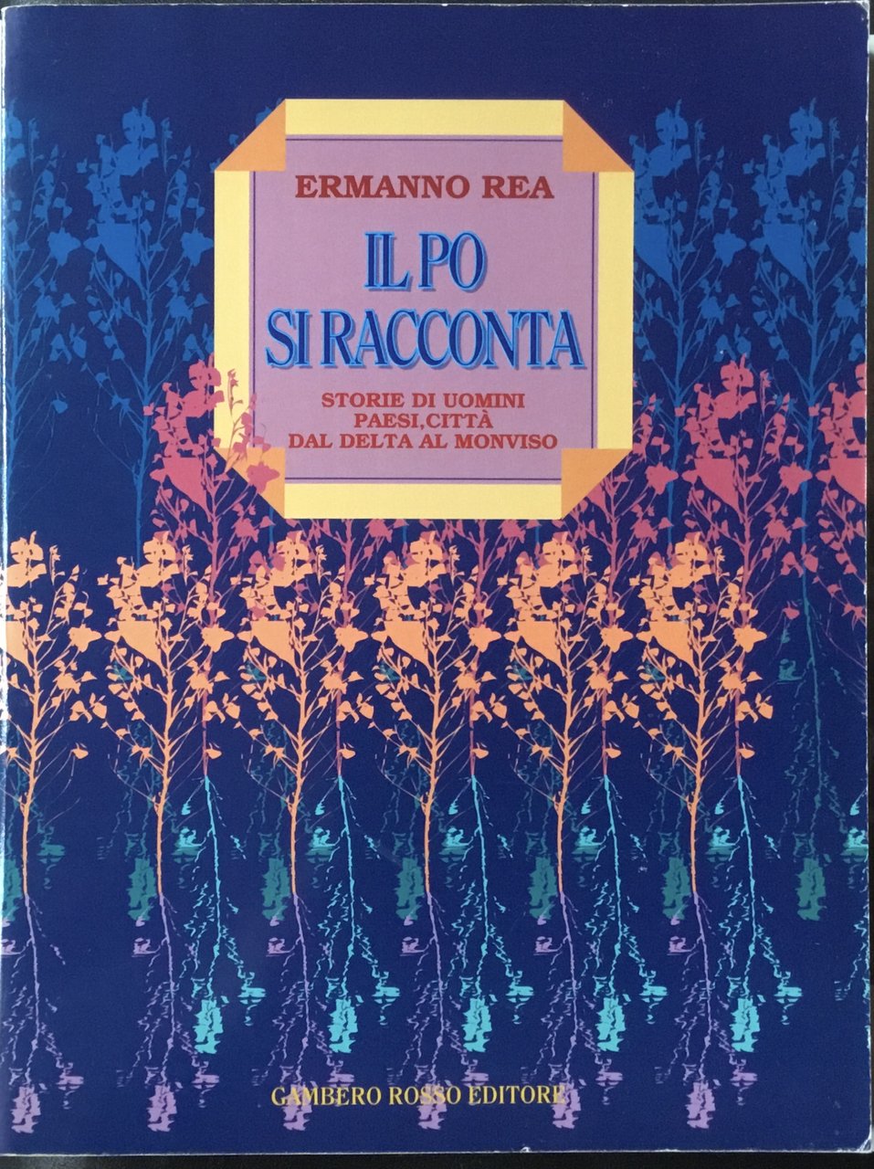 Il Po si racconta. Storie di uomini, paesi, città dal … | Immagine principale