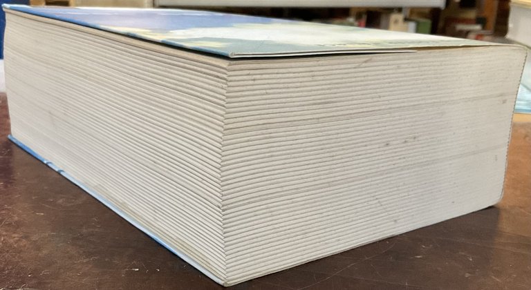 Infinite Jest. Prima edizione italiana | Immagine Gallery 4