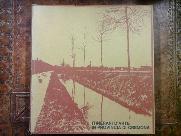 Itinerari d'arte in provincia di Cremona. Un quindicennio di interventi …