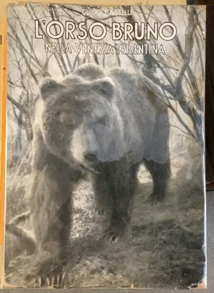 L’orso bruno nella Venezia Tridentina