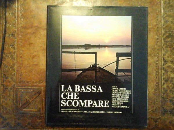 LA BASSA CHE SCOMPARE impressioni pittoriche di Luigina De Grandis, …