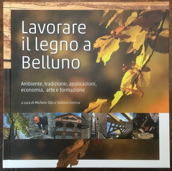 Lavorare il legno a Belluno. Ambiente, tradizione, applicazioni, economia, arte …