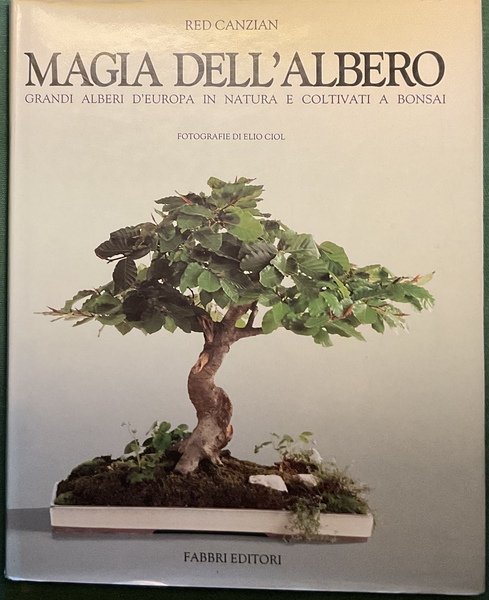 Magia dell’Albero grandi alberi d’ Europa in Natura e Coltivati a Bonsai