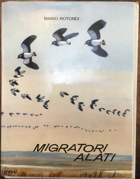 Migratori alati. Le migrazioni degli uccelli in relazione all'esercizio della …