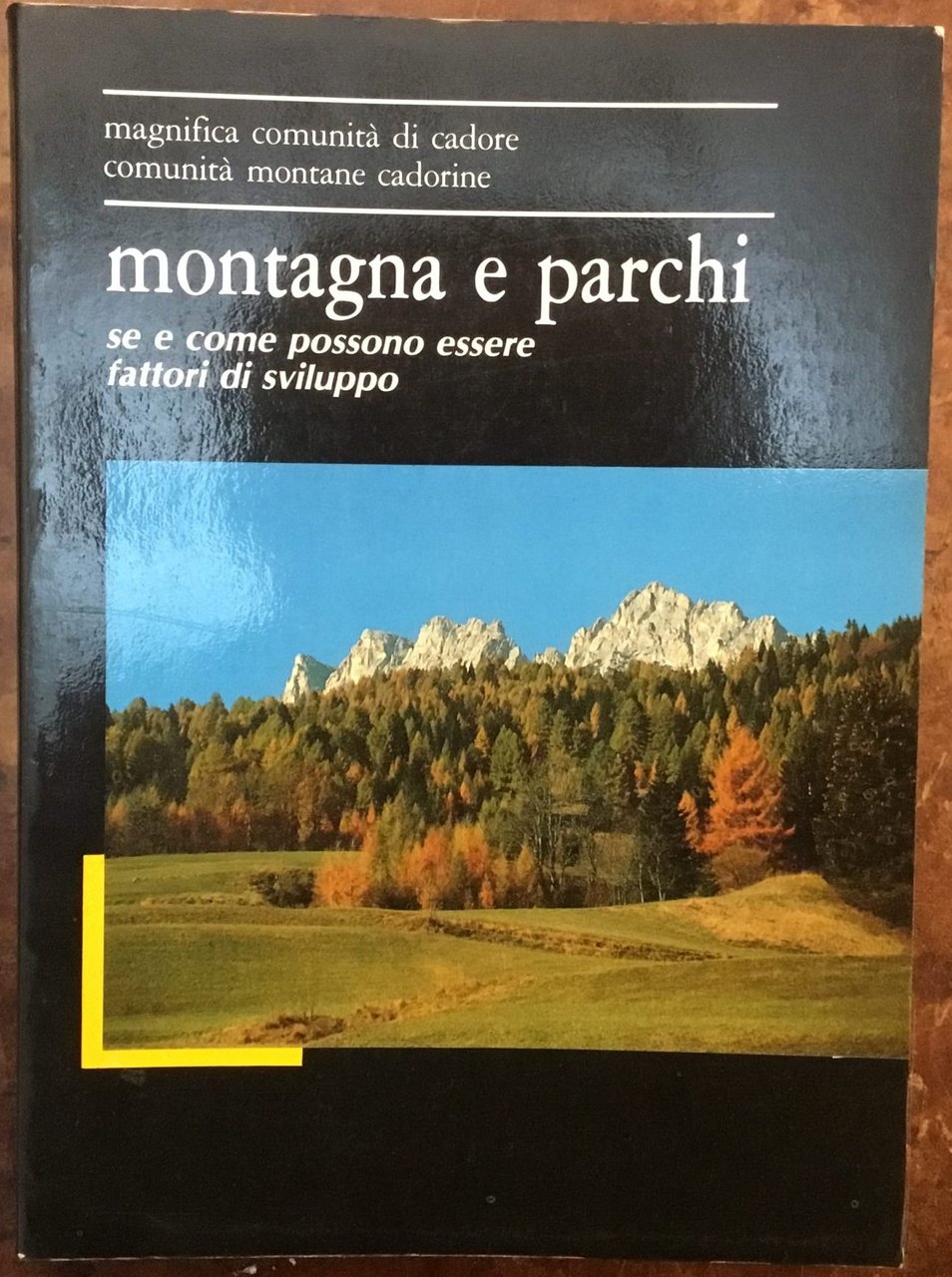Montagna e parchi, se e come possono essere fattori di …