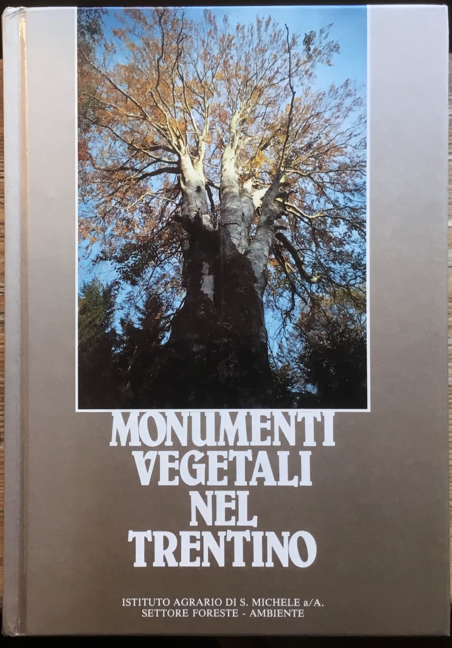 Monumenti vegetali nel Trentino | Immagine principale