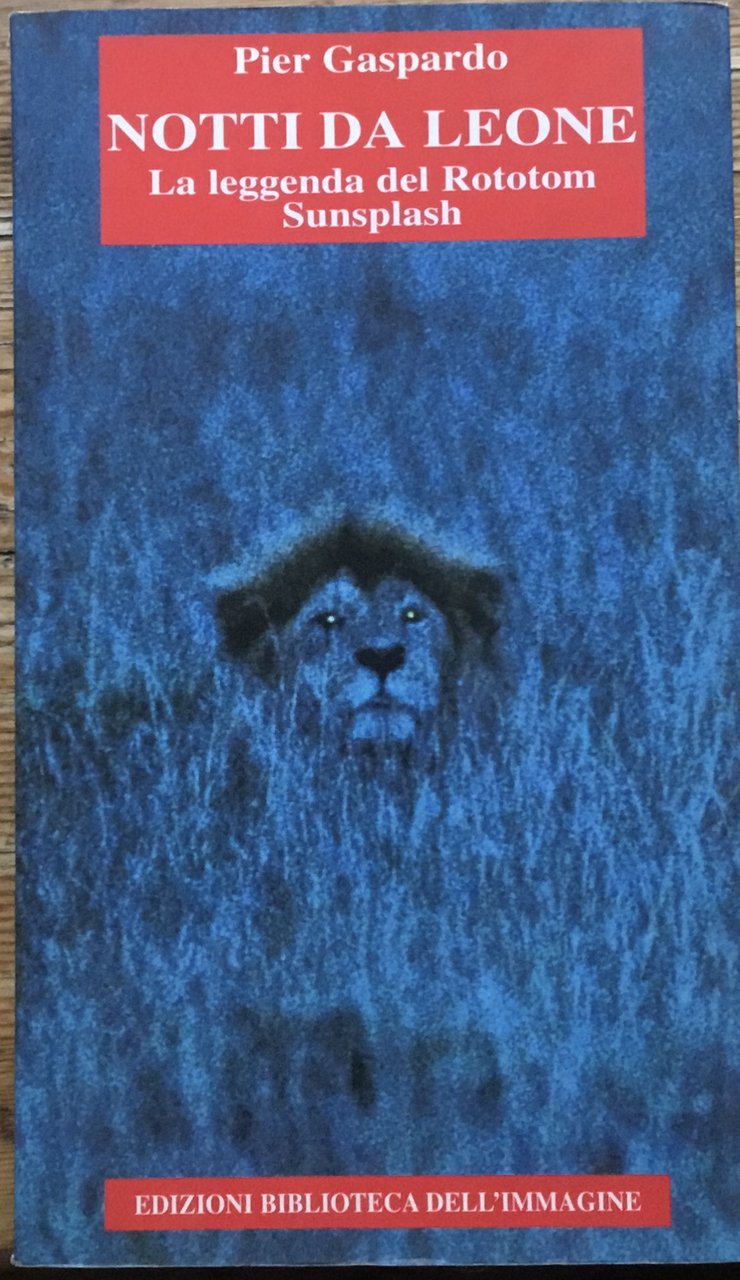 Notti da leone. La leggenda del Rototom Sunsplash