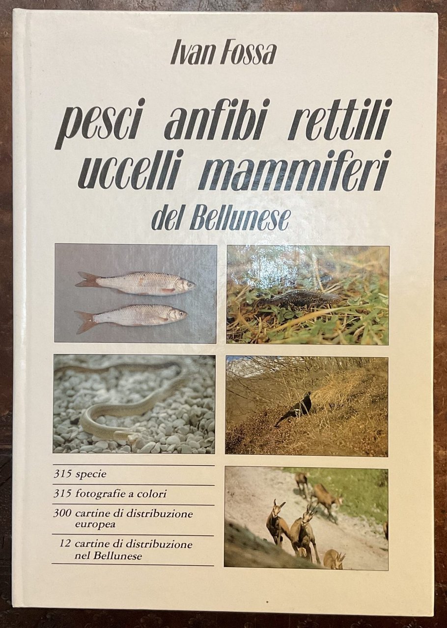 Pesci, anfibi, rettili, uccelli, mammiferi del bellunese | Immagine principale