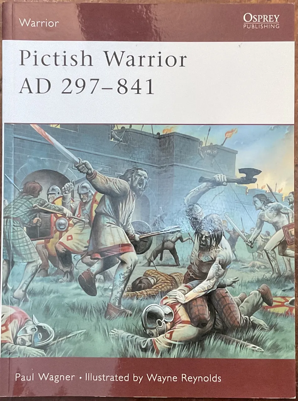 Pictish Warrior AD 297- 841 | Immagine principale