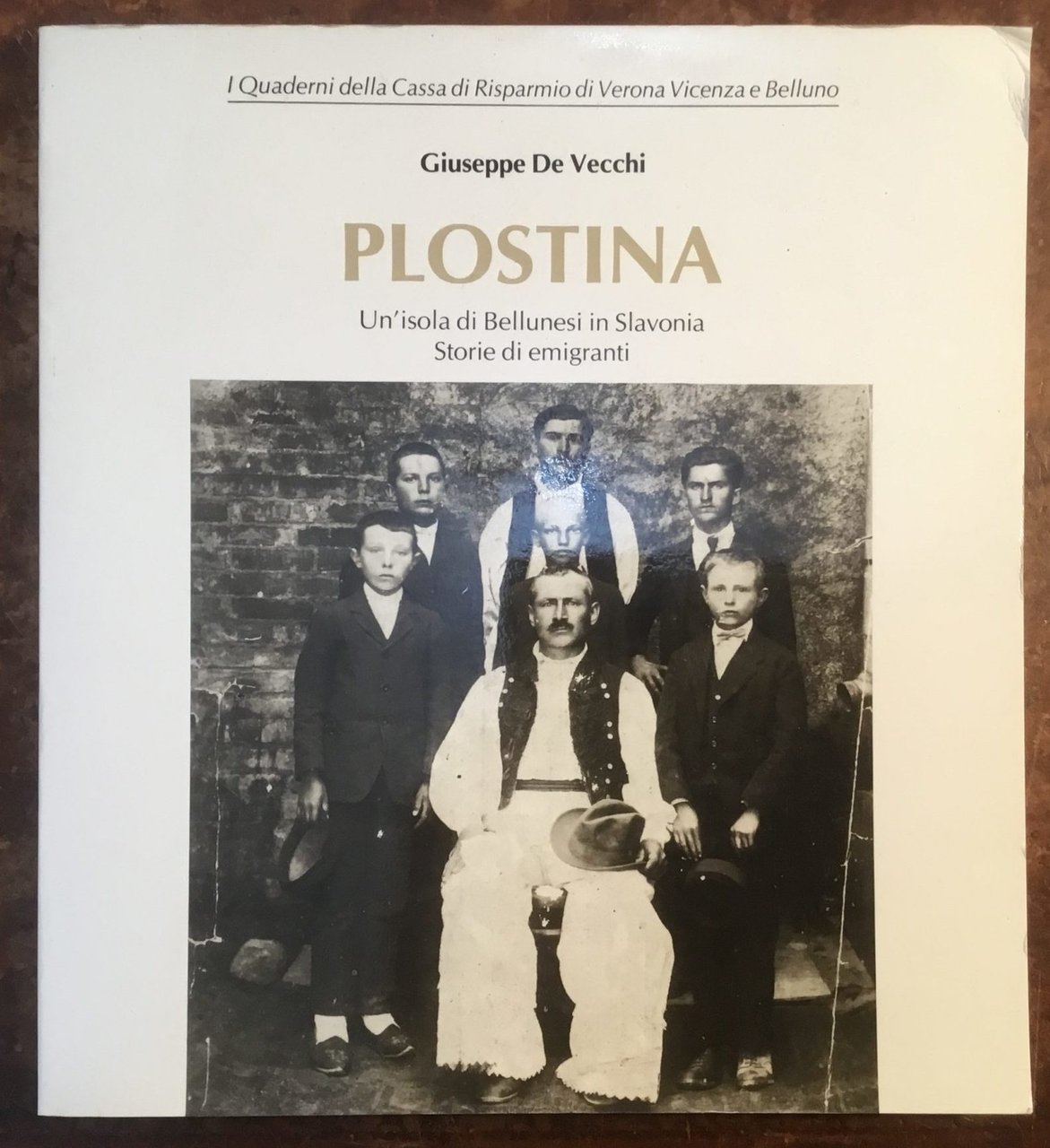 Plostina. Un’isola di Bellunesi in Slavonia. Storie di emigranti