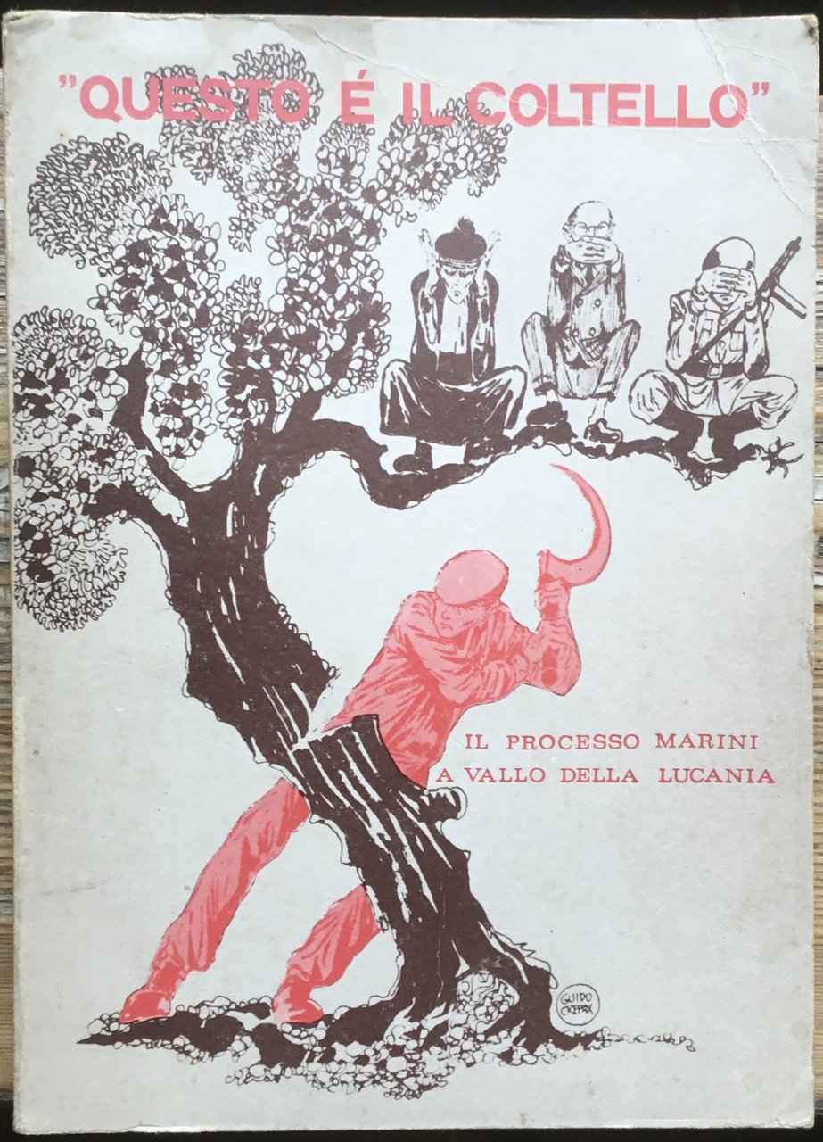 “Questo è il coltello”. Il processo Marini a Vallo della …