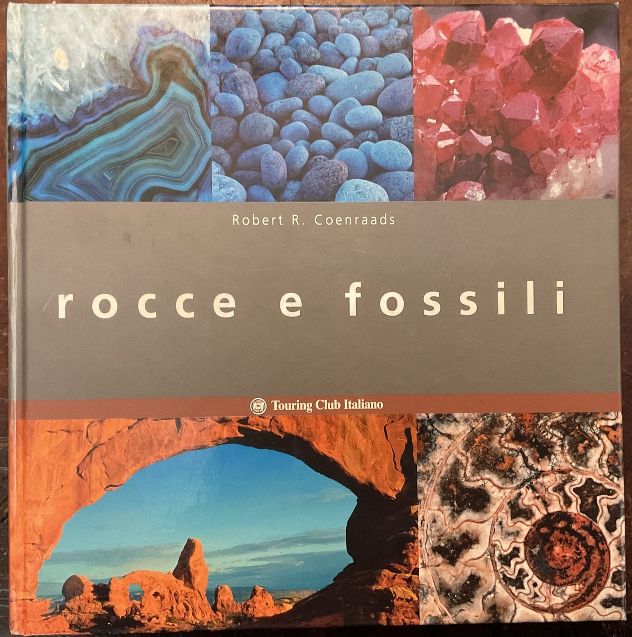 Rocce e fossili