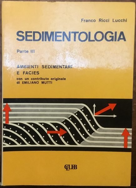 Sedimentologia. Parte III. Ambienti sedimentari e facies