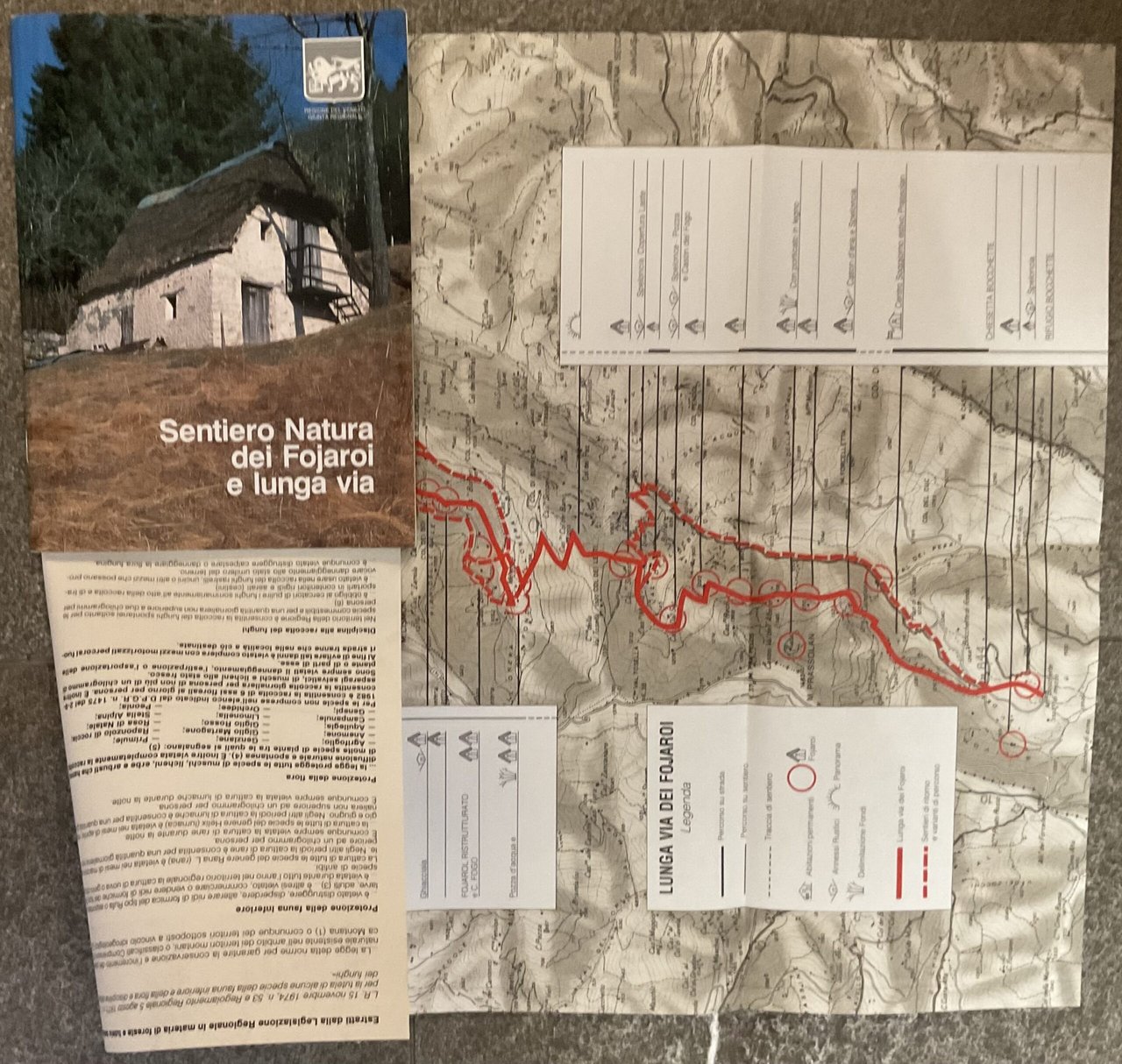 Sentiero Natura dei Fojaroi e lunga via | Immagine principale