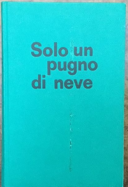 Solo un pugno di neve