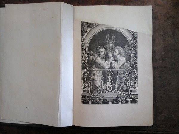 Storia di un asino e di due fanciulle. Adorna di …